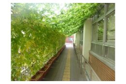 環境施策推進事業