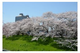 2.ふるさと茂原まちづくり応援基金