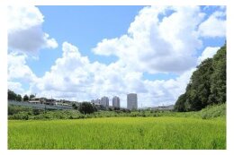 活力あるまちづくり事業（市長におまかせ）
