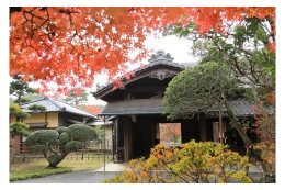歴史と文化のまち佐倉を応援したい！（文化財・日本遺産・芸術）