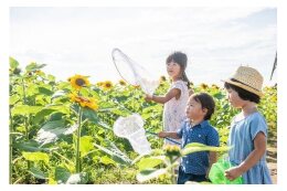 学校教育の振興に関する事業