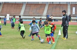 (8) スポーツ推進事業
