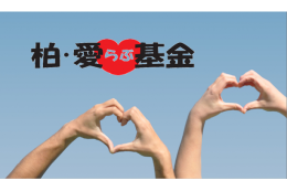 (12)市民公益活動促進事業（柏・愛らぶ基金）