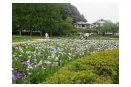 4. 都市形成・都市基盤の分野