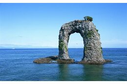 まちの活力を育てる(産業振興)