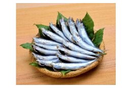 (2)いわしを始めとする特産品の育成および地場産業の振興に関する事業