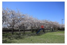 公園施設整備事業
