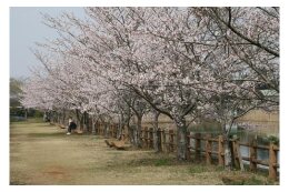 ３．環境