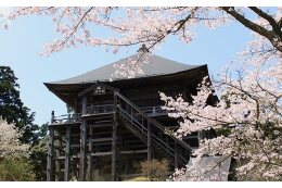 7．長南町におまかせ（使途の指定なし）