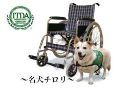 【団体応援寄附】 一般財団法人国際セラピードッグ協会