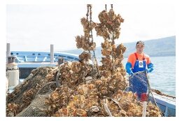 １．産業振興（海の環境保全と安全安心・魅力的な食の提供）に関する事業