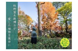 練馬みどりの葉っぴい基金
牧野記念庭園プロジェクト