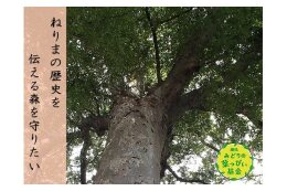 練馬みどりの葉っぴい基金
早宮けやきの森コース（区民の森プロジェクト）