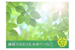 練馬みどりの葉っぴい基金
練馬のみどり全般を守り育む