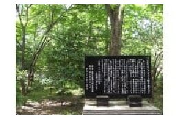 国立療養所多磨全生園の豊かな緑と史跡を「人権の森」として守り育てるために