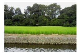 谷保の原風景保全のために