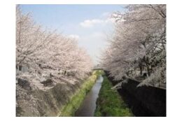 ４．市に一任