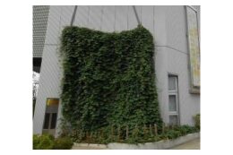7．地球温暖化防止対策によるまちづくり