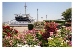 ４．横浜の魅力・ブランド力を高めるまちづくり（にぎわい創出）