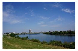 環境・公園・みどり