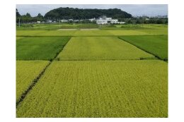 農水産業を「守り」「はぐくみ」「次世代につなぐ」ために