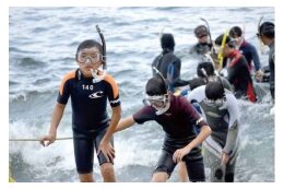 子育て・教育に関する分野