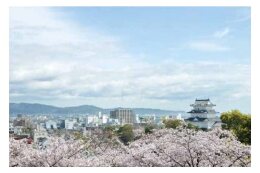 歴史・文化に関する分野