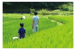 自然環境に関する分野