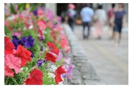 都市基盤に関する分野