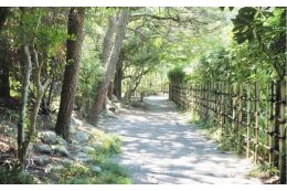 緑地の取得及び維持管理