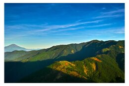 【みどり又は里山の保全又は創造に関する事業】