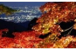 使途の指定なし（伊勢原市におまかせ）