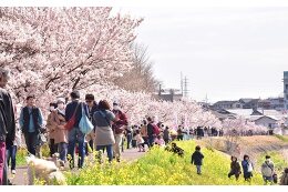 2 安全で安心して健康に暮らせるまちづくり事業