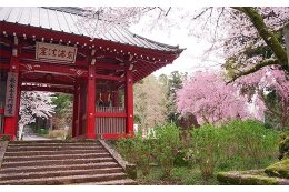 3 環境と自然に配慮した魅力あるまちづくり事業
