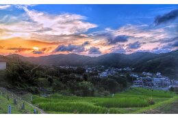 ④環境保全等
