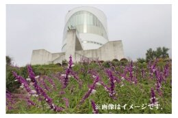 まちが認める事業