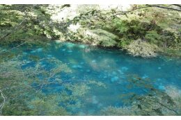 2．水源地域の環境保全に関する事業