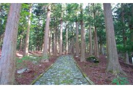 3．森林を活用した事業