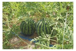 産業の振興のために