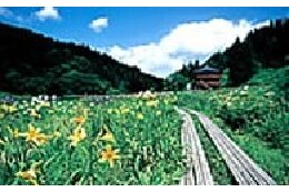 4.自然環境保全