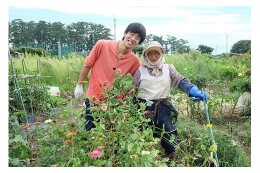 (1) 次世代に引き継ぐ自然環境の保全に関する事業
(2) 未来を担う子供の教育、健全育成に関する事業
(3) ふるさと粟島との交流・移住促進に関する事業
(4) 地域産業の振興に関する事業
(5) 福祉医療の充実に関する事業
(6) その他、村長が定めた事業