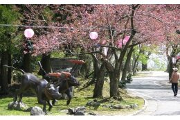 ふるさとおやべの自然環境・景観の保全を支援