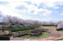 環境（公園）
