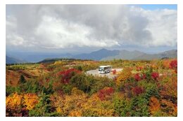 立山黒部アルペンルートの応援と国立公園立山の環境整備