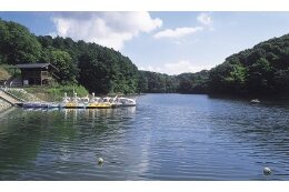 7．産業づくり、消費生活と雇用環境づくりに関する事業