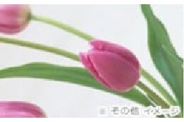 まちづくり