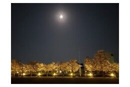 旭地区のまちづくりを応援する