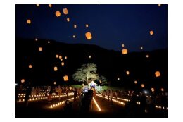 越前朝倉万灯夜を応援する