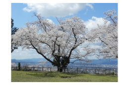 岡保地区のまちづくりを応援する