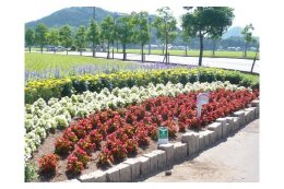 清水南地区のまちづくりを応援する